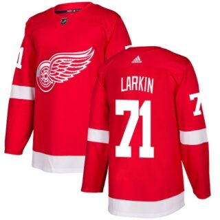 Men's Detroit Red Wings #71 Dylan Larkin Red Home Authentic Stitched NHL Jersey