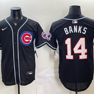 Men's Chicago Cubs #14 Ernie Banks 150th Anniversary Black Out Style Vapor Premier Limited Stitched Baseball Jersey