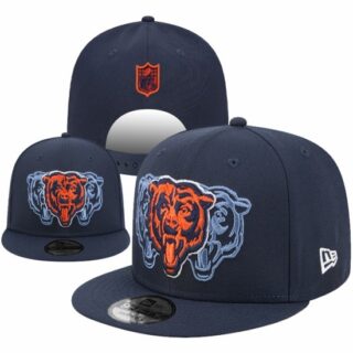 NFL Chicago Bears Stitched Snapback Hats 2026-6-02