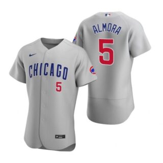 Men's Albert Almora Jr. Chicago Cubs Flex Base Jersey Gray